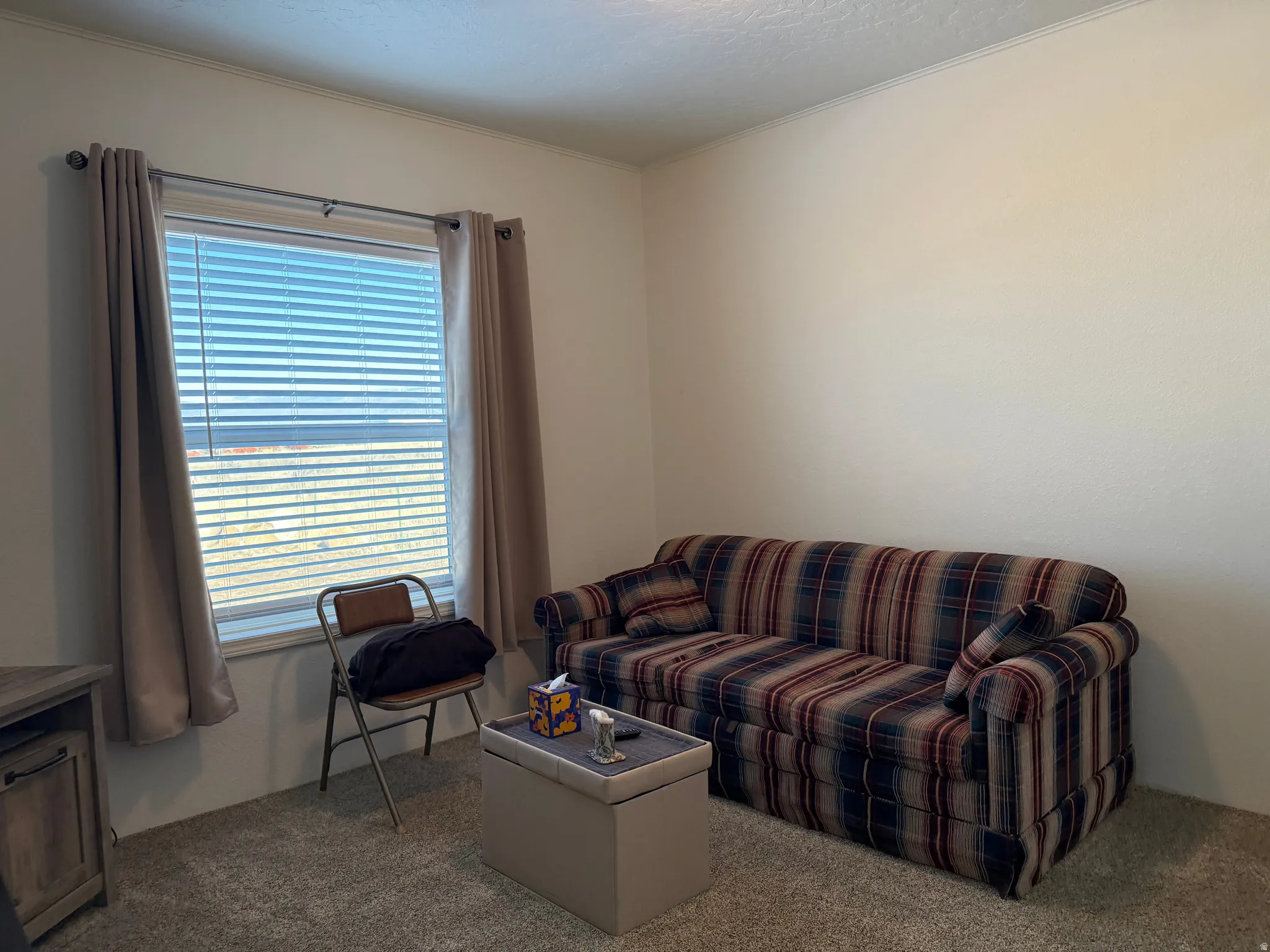 View of carpeted living area