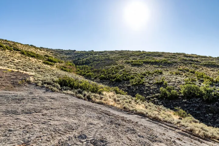1319 E Wildflower Cir, Heber City, Utah 84032