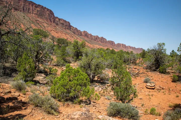View of mountain background
