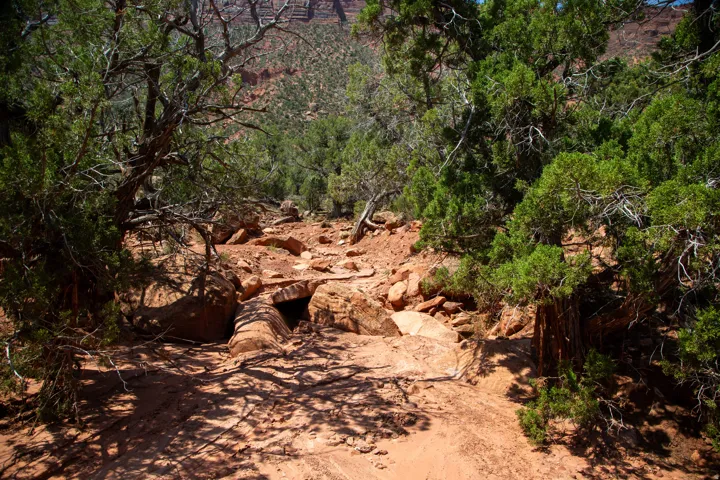 View of nature