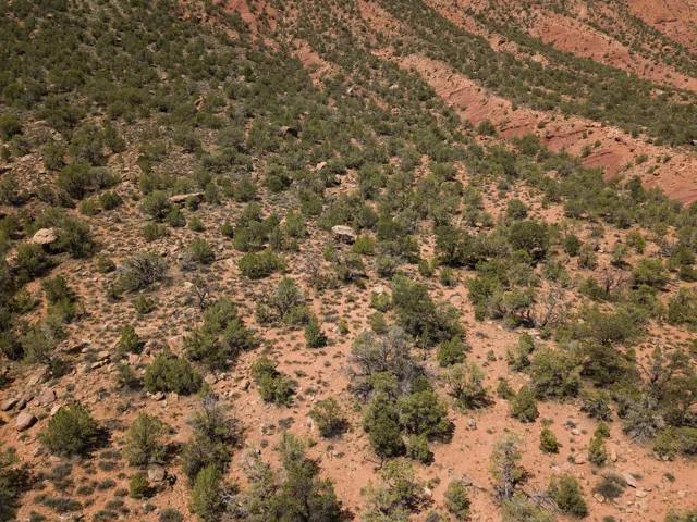 View of mountain backdrop featuring rural landscape