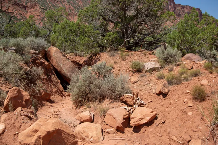 View of nature featuring mountains