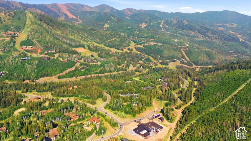 Expansive mountain landscape featuring dense evergreen forests and winding roads