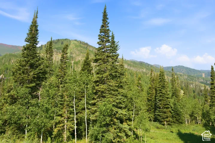 Mountainous landscape featuring a mix of evergreen and deciduous trees under a clear sky