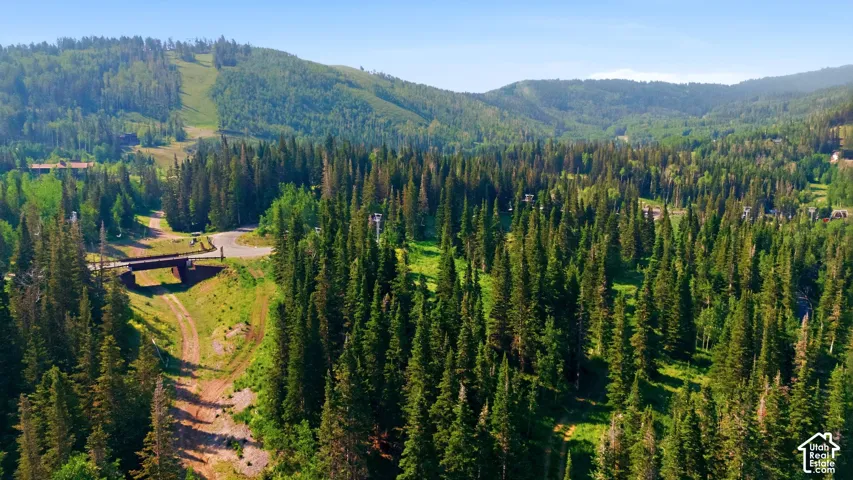 Expansive mountainous terrain featuring a dense evergreen forest, a distant ski slope, and a dirt road with an overhead bridge structure