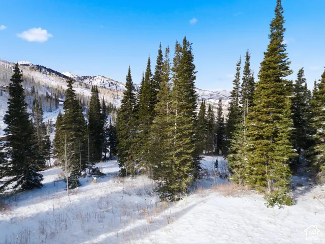 View of mountain background