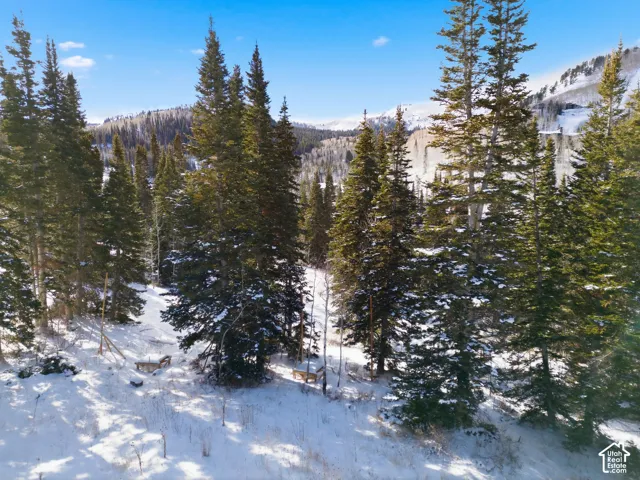 View of mountain backdrop featuring a forest