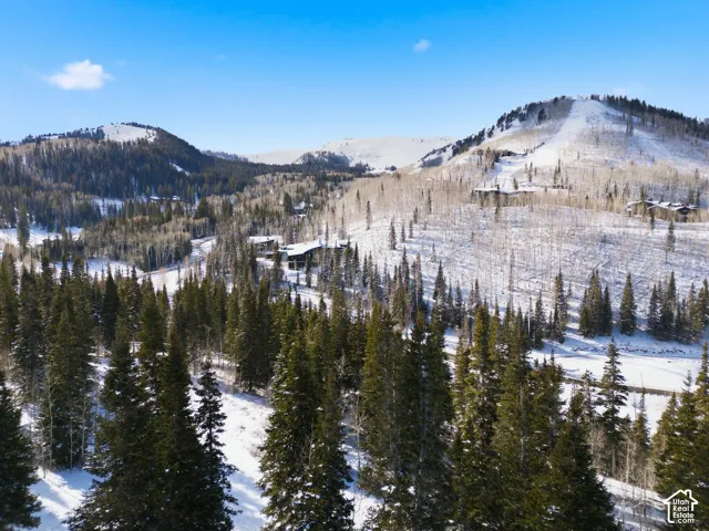 View of mountain background