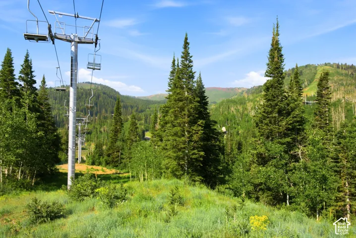 Ski lift infrastructure situated within a mountainous, heavily treed landscape featuring varied evergreen and deciduous trees, and a distant ski slope