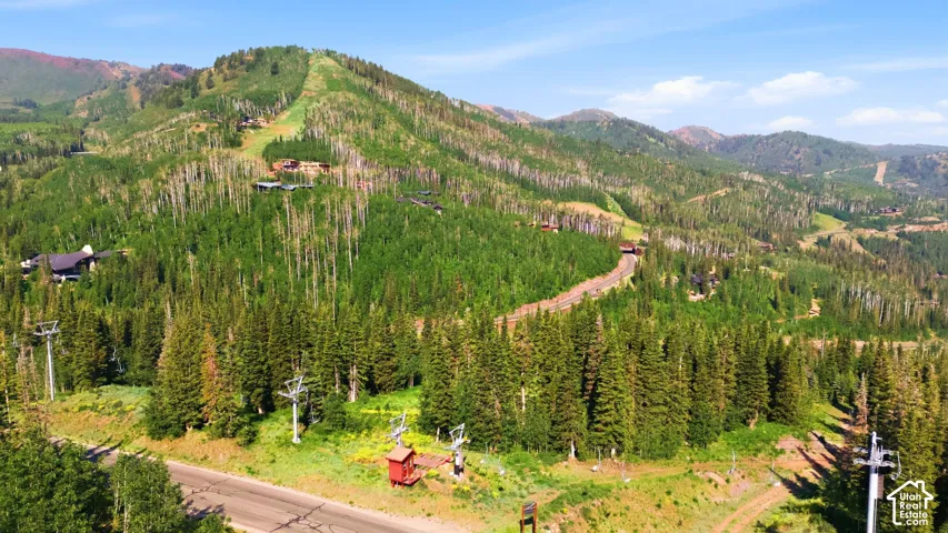 Mountain landscape featuring extensive evergreen forests and deciduous trees