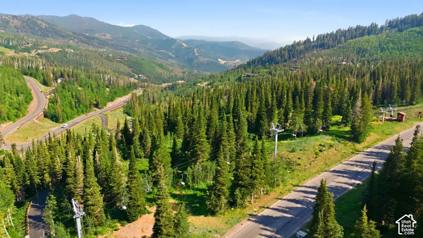 Mountain landscape featuring extensive evergreen forests, winding paved roads, distant peaks, and ski lift infrastructure