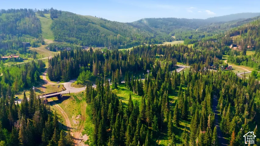 Expansive mountain landscape featuring dense evergreen forests and clear skies