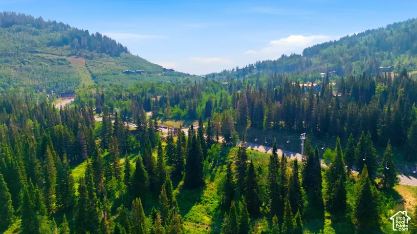 Mountainous terrain with dense evergreen forests, natural clearings, and distant structures