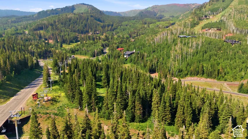 Expansive mountain landscape featuring dense evergreen forests and distant structures