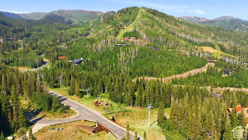 Mountain landscape featuring dense evergreen and deciduous trees, a winding paved road, and ski lift infrastructure