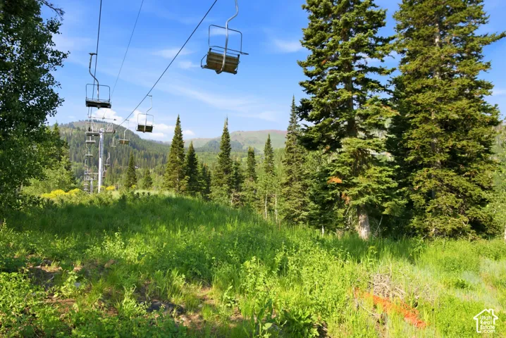 Mountain landscape featuring a ski lift structure, lush green vegetation, and mature evergreen trees