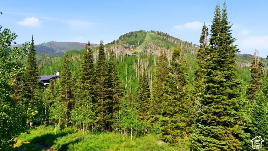 Secluded property surrounded by evergreen trees and lush foliage, featuring a distinct roofline and chimney