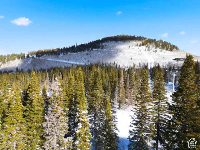 Water view featuring a mountainous background
