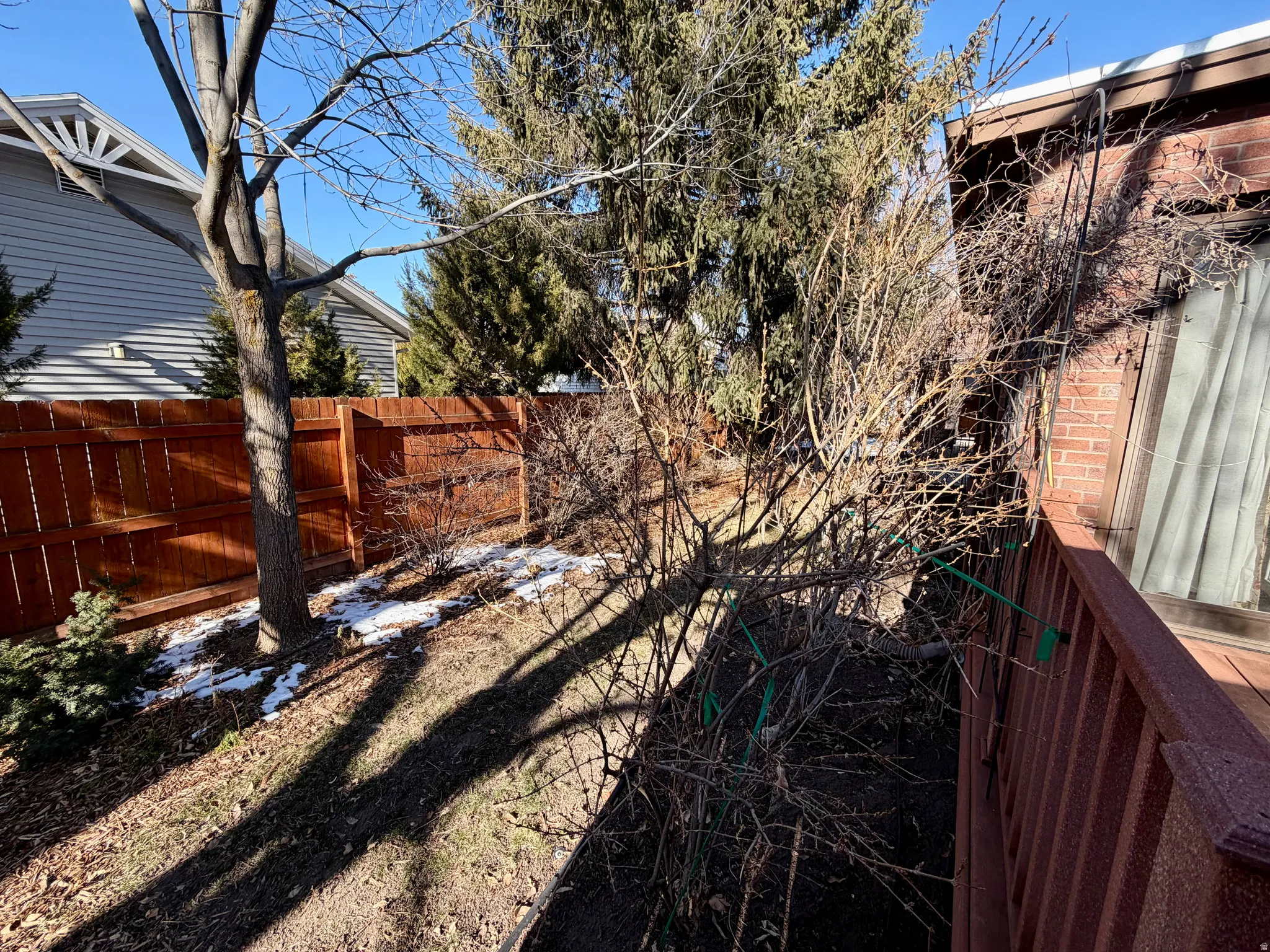 View of fenced backyard