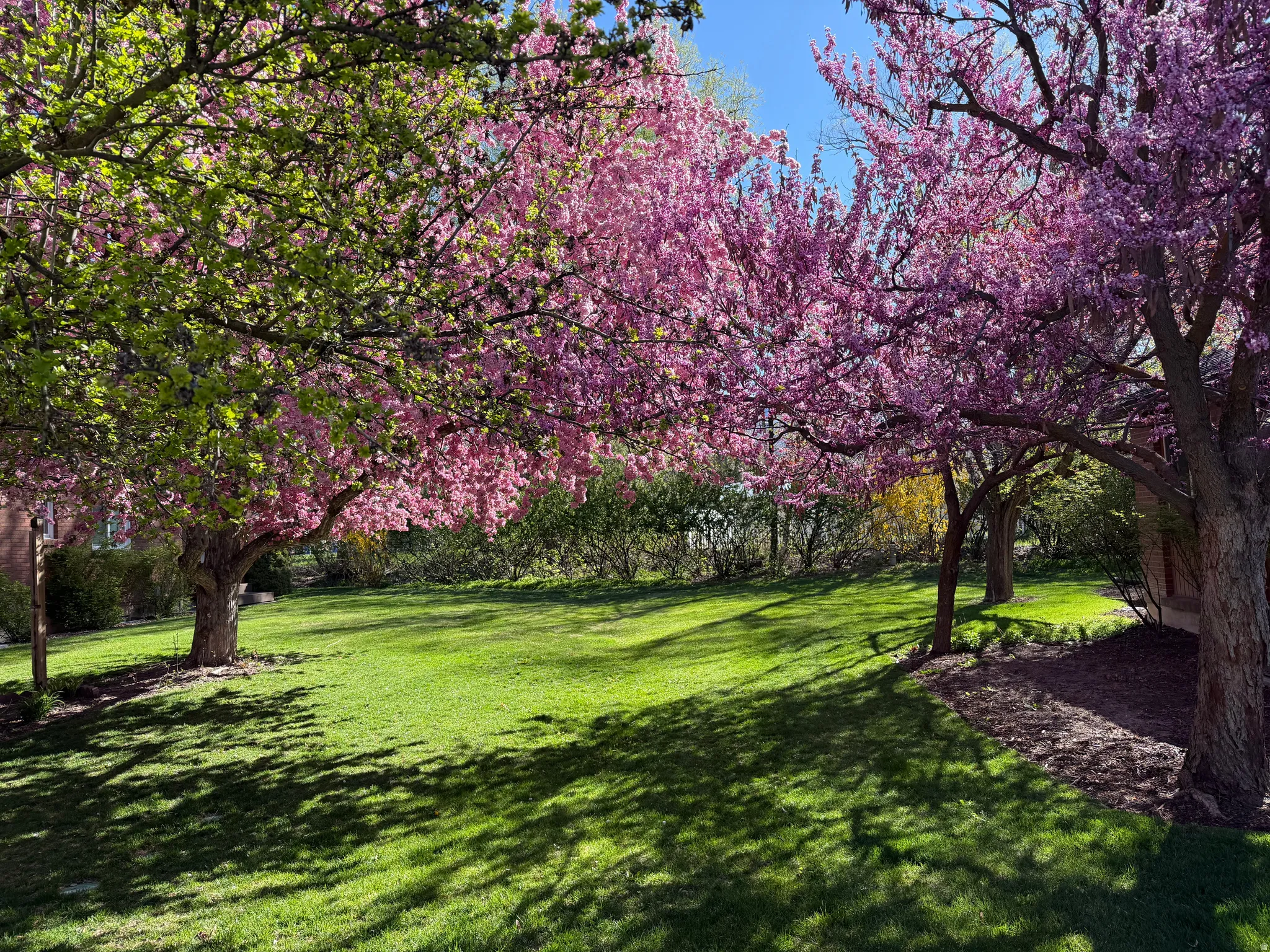 View of grassy grounds in association