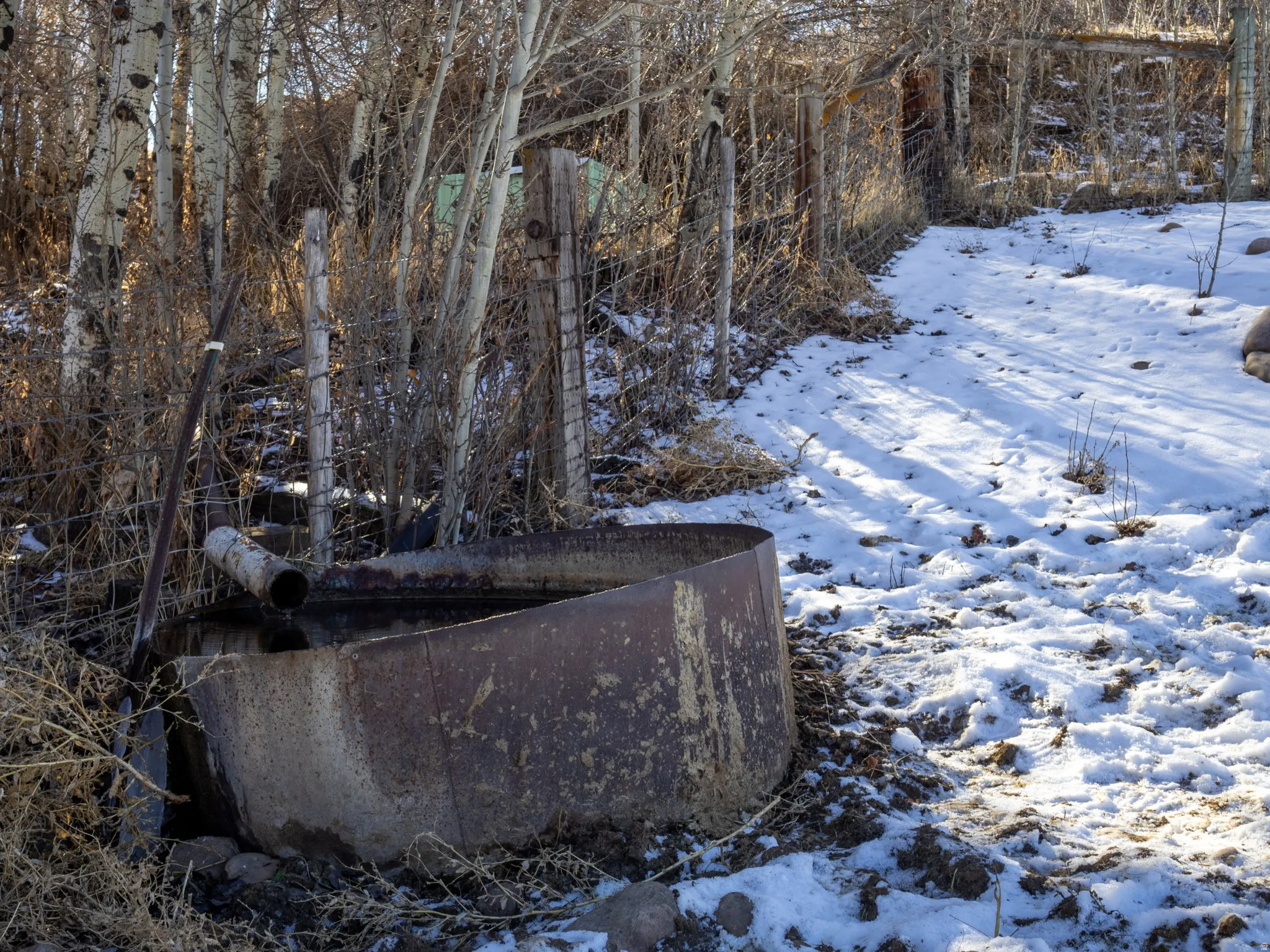 View of snow covered land featuring view of scattered trees