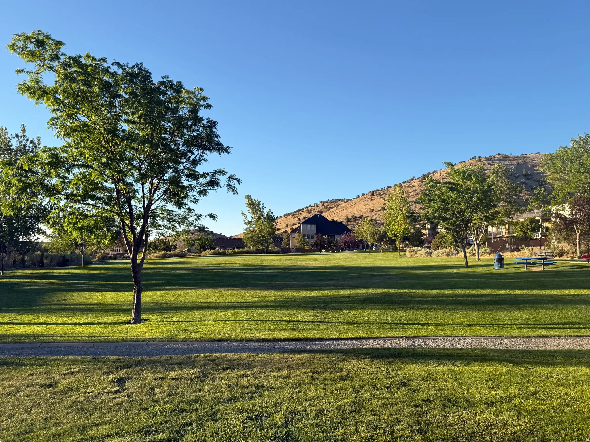 Community Park
