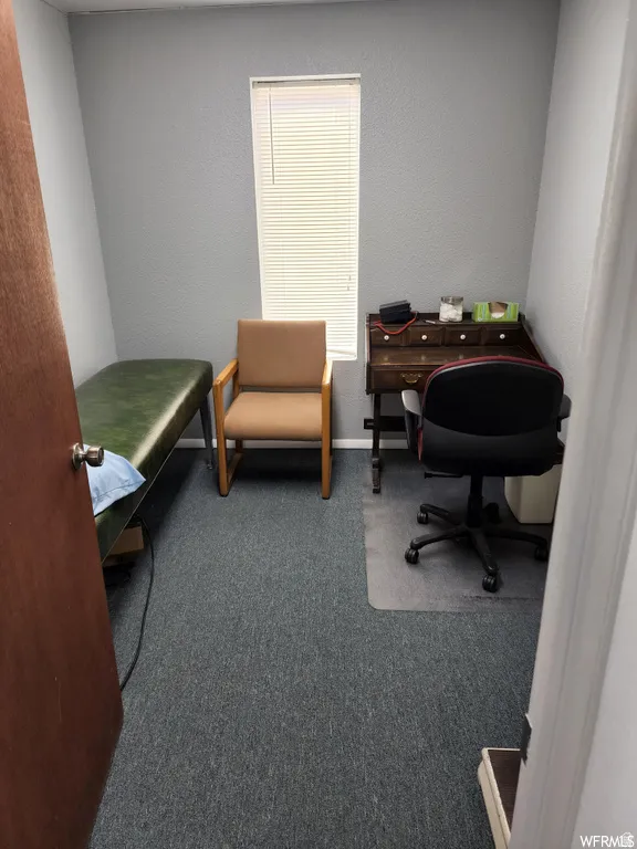 Office space featuring dark colored carpet and a textured wall