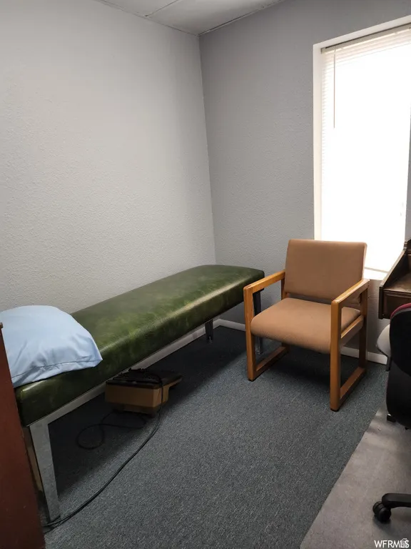 Bedroom with carpet flooring and a textured wall