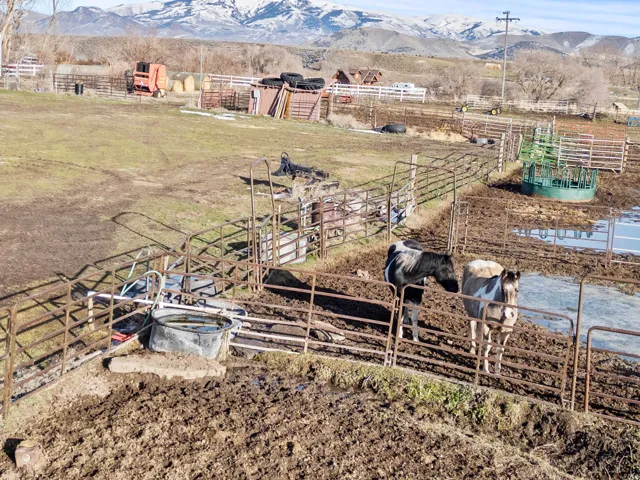View of yard featuring a mountain view and a view of countryside