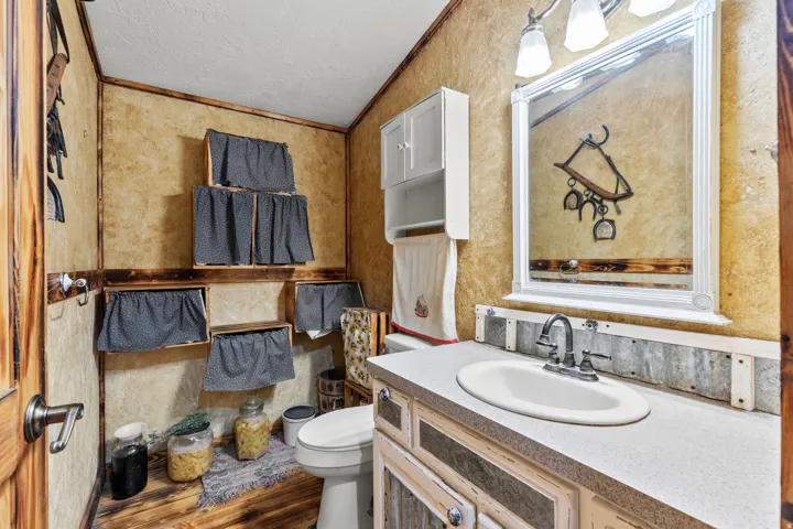 Bathroom with vanity, crown molding, a textured ceiling, and dark wood finished floors