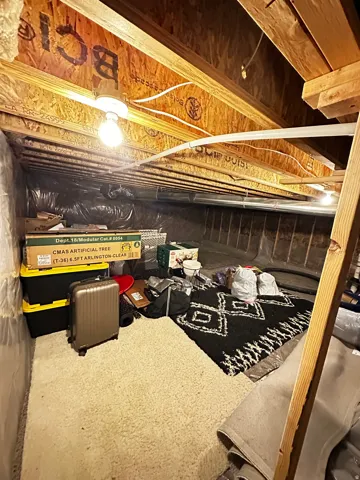 Storage Crawlspace located under the stairs