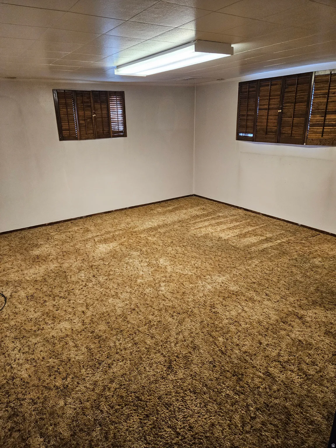 Unfurnished room featuring carpet