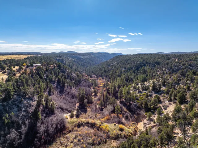 View of mountain background featuring a heavily wooded area