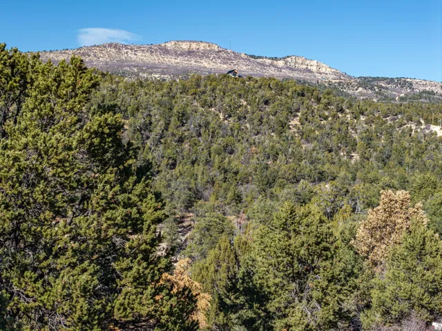 Mountain view featuring a forest