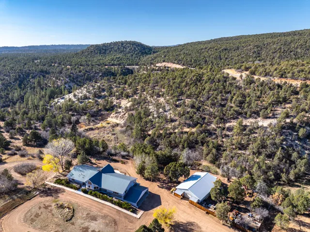 Aerial overview of property's location with a heavily wooded area and a mountainous background