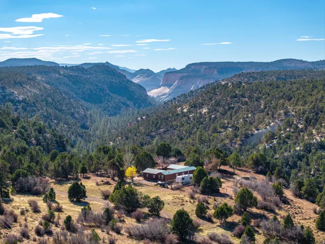 View of mountain backdrop with a heavily wooded area