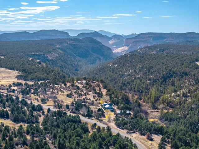 Mountain view featuring a heavily wooded area