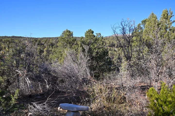 View of wooded area