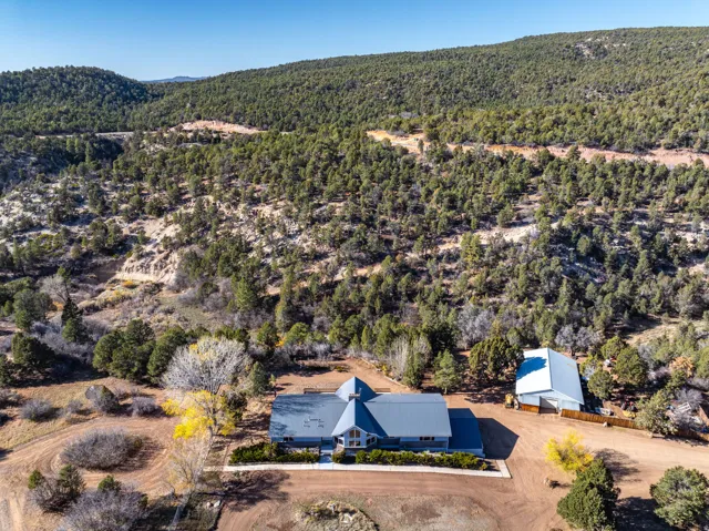 Aerial overview of property's location featuring a forest and a mountain backdrop