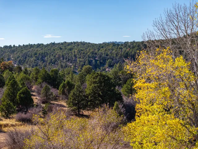 View of mountain backdrop featuring a heavily wooded area