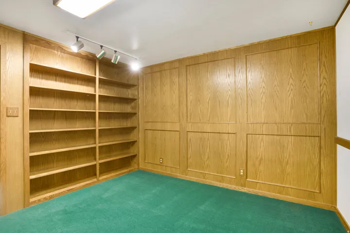 Empty room with rail lighting and carpet flooring