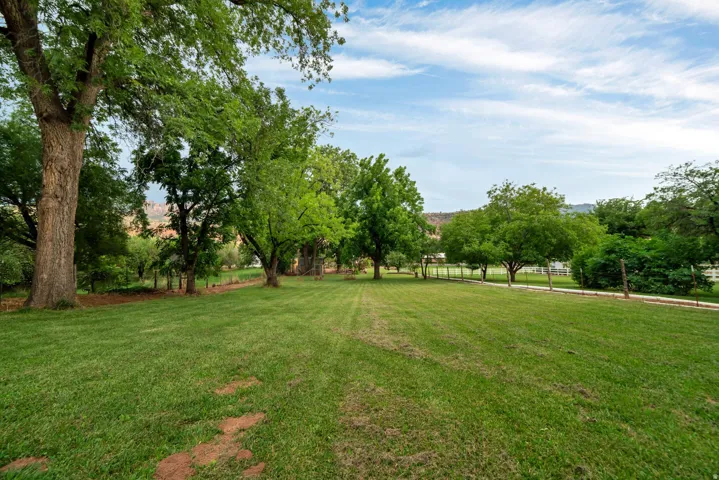 View of grassy yard