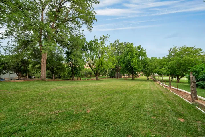 View of green lawn