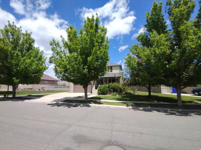 View of property hidden behind natural elements featuring driveway, a garage, and a residential view