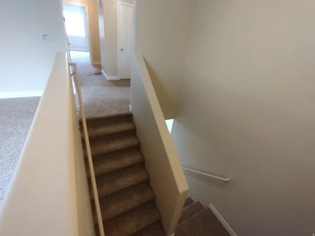 Stairway with carpet