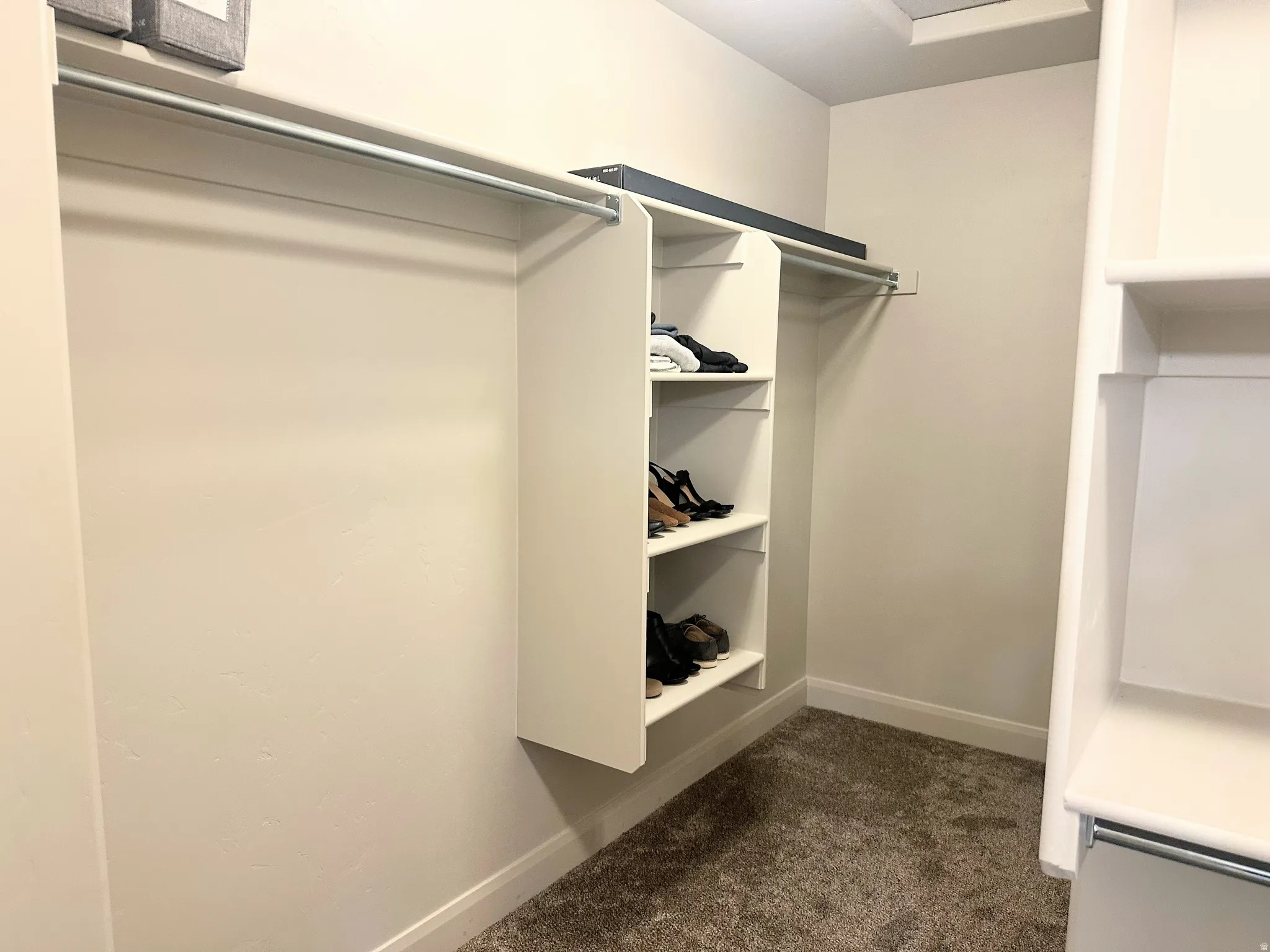Spacious closet featuring dark colored carpet