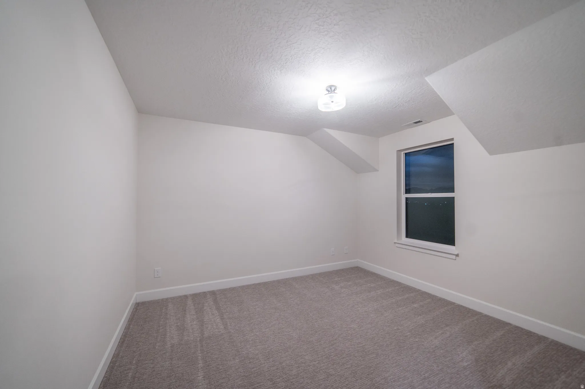 Additional living space with a textured ceiling, carpet floors, and lofted ceiling