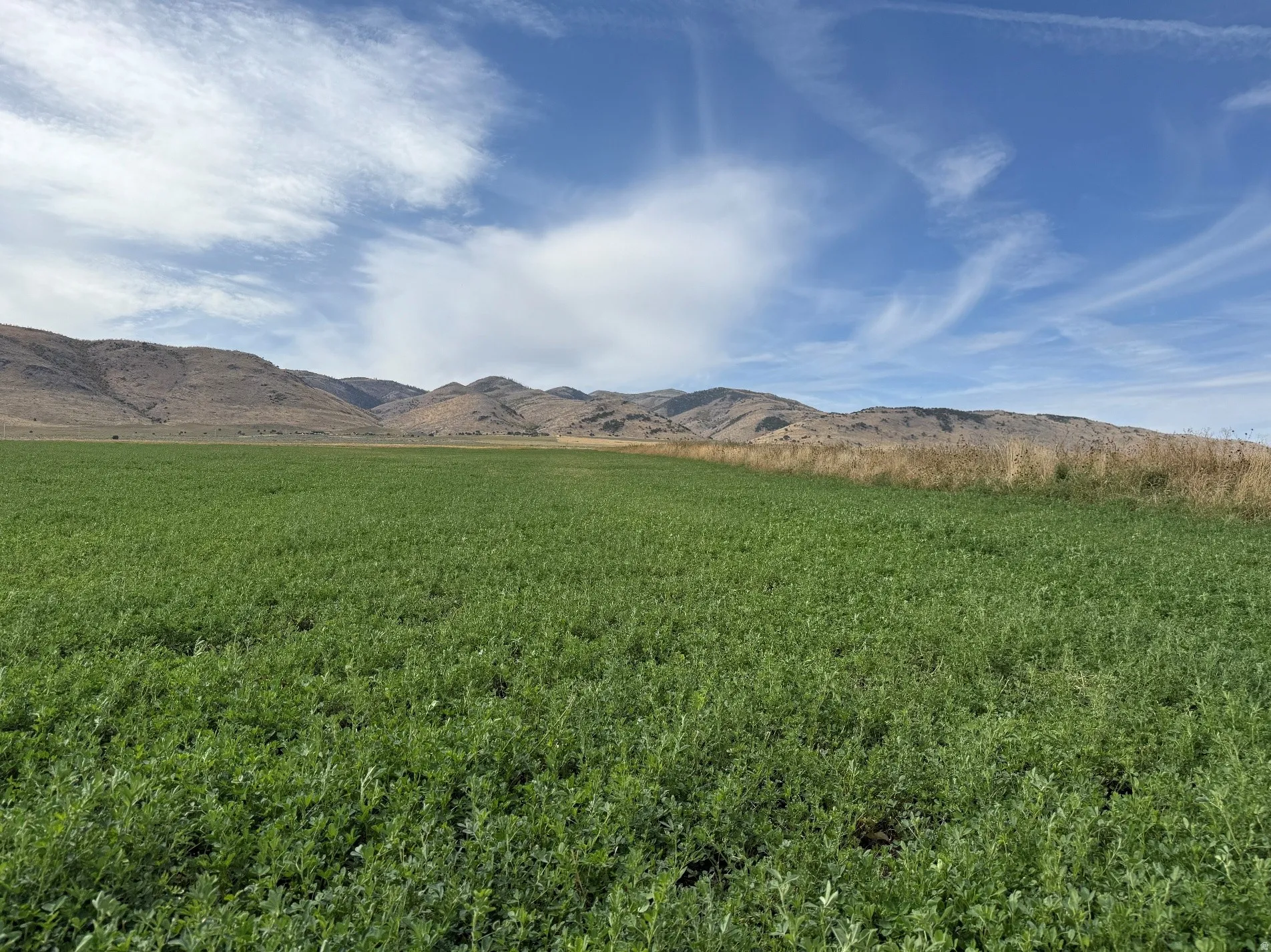 View of mountain background with rural landscape