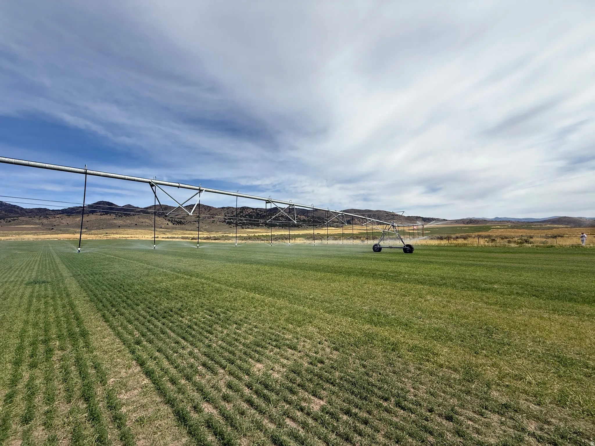 View of home's community featuring a yard, a mountain view, and a rural view