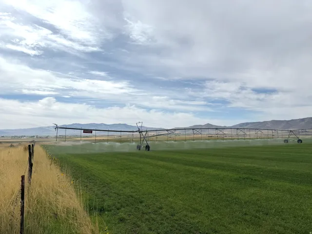 View of green lawn with a mountain view